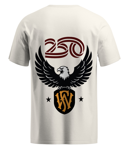America 250 T-Shirt